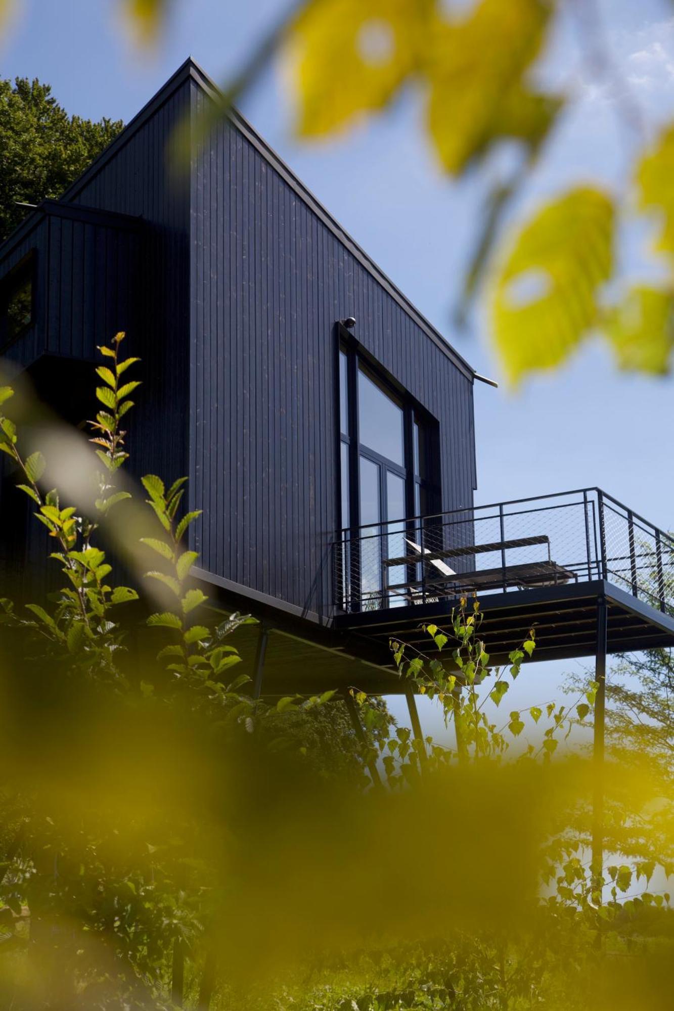 Villa Treeangle - K1 Baumhaus à Odenthal Extérieur photo